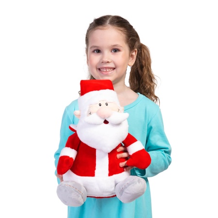 Подарок «Дед Мороз» 600г Люкс ПТЗ-39л